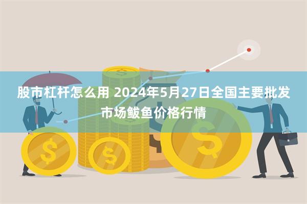 股市杠杆怎么用 2024年5月27日全国主要批发市场鲅鱼价格行情