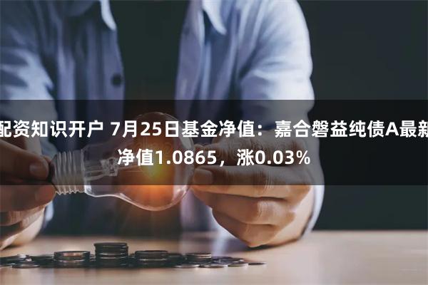 配资知识开户 7月25日基金净值：嘉合磐益纯债A最新净值1.0865，涨0.03%