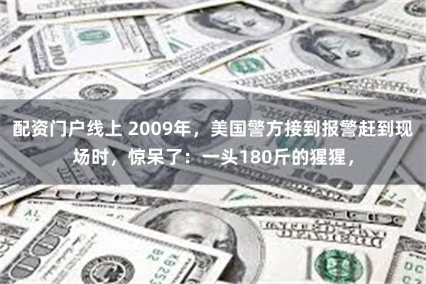 配资门户线上 2009年，美国警方接到报警赶到现场时，惊呆了：一头180斤的猩猩，