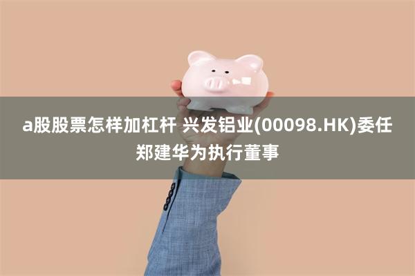 a股股票怎样加杠杆 兴发铝业(00098.HK)委任郑建华为执行董事