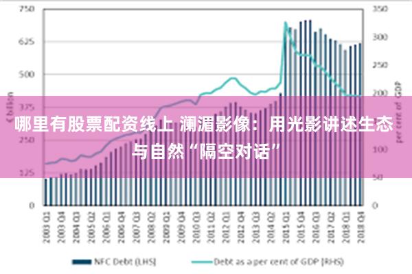 哪里有股票配资线上 澜湄影像：用光影讲述生态 与自然“隔空对话”