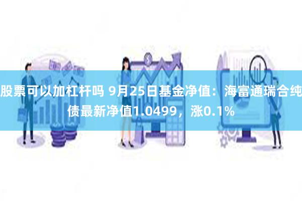 股票可以加杠杆吗 9月25日基金净值：海富通瑞合纯债最新净值1.0499，涨0.1%