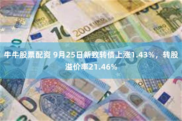 牛牛股票配资 9月25日新致转债上涨1.43%，转股溢价率21.46%