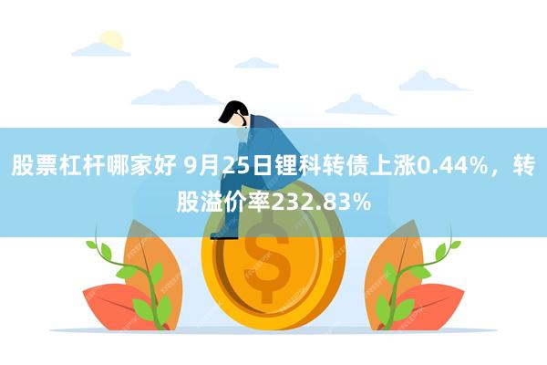 股票杠杆哪家好 9月25日锂科转债上涨0.44%，转股溢价率232.83%