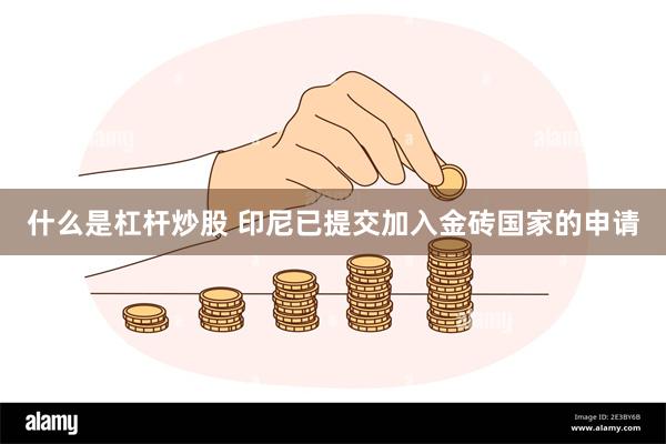 什么是杠杆炒股 印尼已提交加入金砖国家的申请