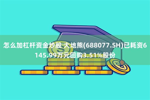 怎么加杠杆资金炒股 大地熊(688077.SH)已耗资6145.99万元回购3.51%股份