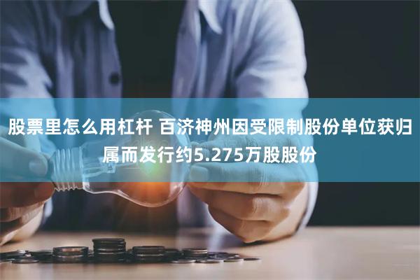 股票里怎么用杠杆 百济神州因受限制股份单位获归属而发行约5.275万股股份