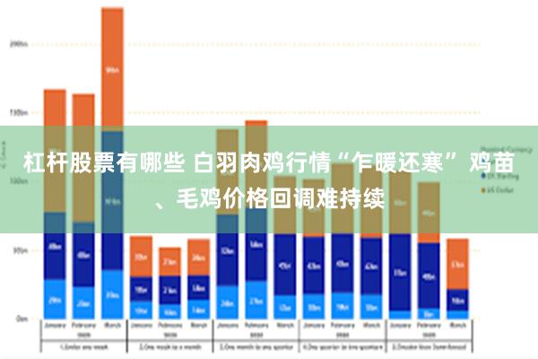 杠杆股票有哪些 白羽肉鸡行情“乍暖还寒” 鸡苗、毛鸡价格回调难持续