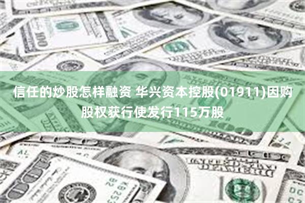信任的炒股怎样融资 华兴资本控股(01911)因购股权获行使发行115万股