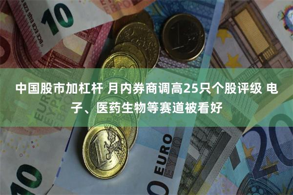 中国股市加杠杆 月内券商调高25只个股评级 电子、医药生物等赛道被看好