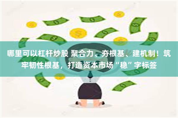 哪里可以杠杆炒股 聚合力、夯根基、建机制！筑牢韧性根基，打造资本市场“稳”字标签